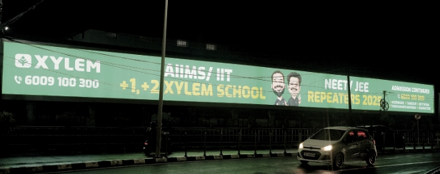 Xylem board